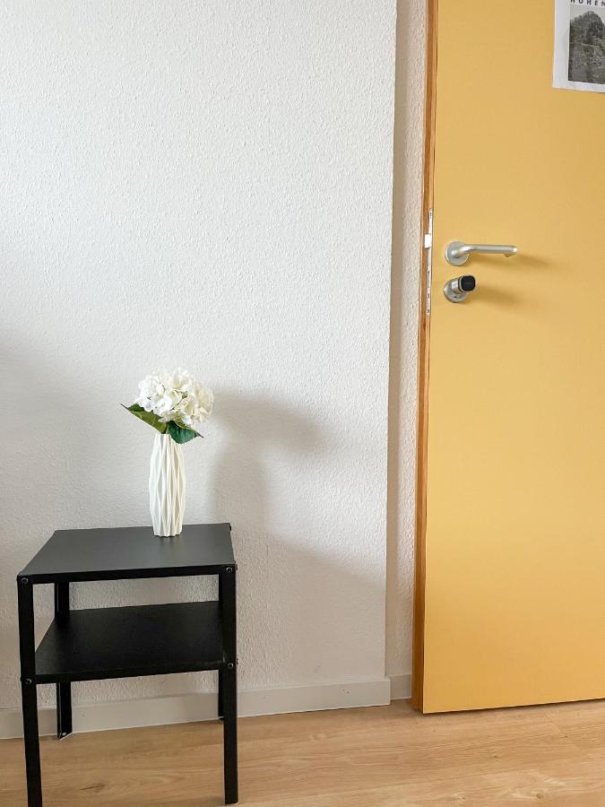 Hegau Boardinghouse Apartment Singen Bagian luar foto